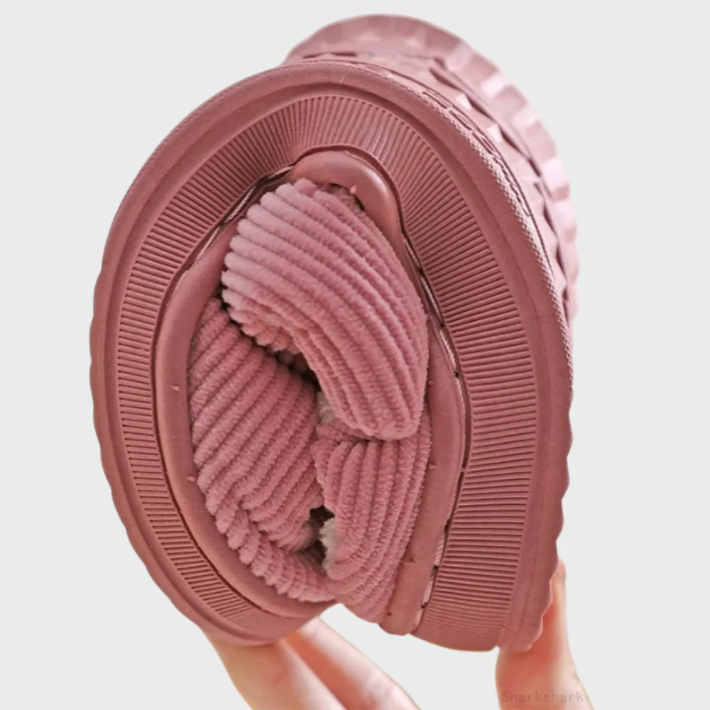 Miniatuur 2